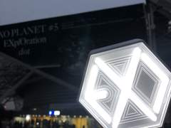 지극히 개인적인 대한엑소팬실록 (뇌절)