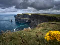 창세기(創世記)