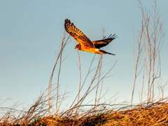 거기 잠 좀 그만 자세요.