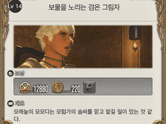 Lv. 14 보물을 노리는 검은 그림자