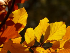 [킨키 KT/야마타케] 9월의 편지