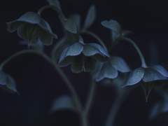 [999] 인생은 플러스 마이너스 제로다.