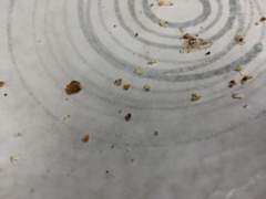 저희.딸이.추천해준.만화liste.^~^.같이봐요^^