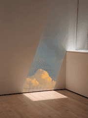 오갈 데 없는 감정들을 그러모아