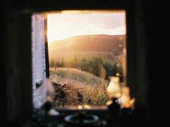 내 모든 다정을 담아, 너에게.