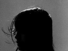 퐁펭 커미션 통합 공지