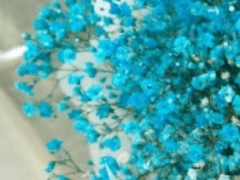 고래는 바다를 사랑하고