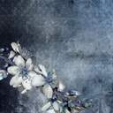 우린 살아갈 수 있을까