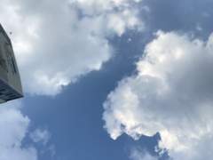 예쁜 거짓말들을 속사여줘