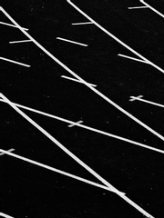 [인터뷰] Q터뷰 시리즈