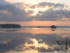 8월 트위터 긴 소썰 백업