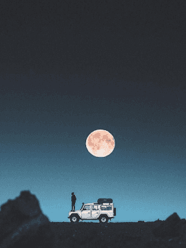 오늘도 이 세계는 평화롭네요