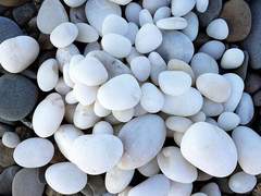 우리는 모두 괴물이지만