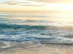 아이하라 모모카