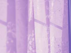 003. 아침 햇살을 느낄 시간이 어디 있어!