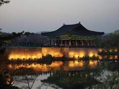 슬기로운 교사생활 : 수학여행