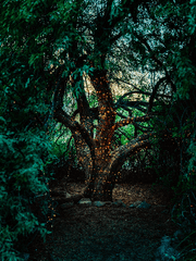 스틱? 스틱을 주세요!