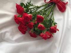 𝑴𝒊𝒅𝒏𝒊𝒈𝒉𝒕 𝑪𝒂𝒏𝒅𝒚