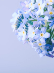 히메이즈 2022년까지 매일 연성 가보자고