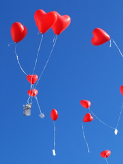 스투피드 큐피드