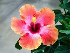 트위스테 드림썰 백업 023