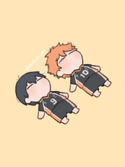 히나타 쌍둥이의 형 입니다