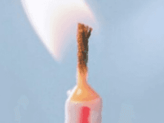 당신의 신부로부터