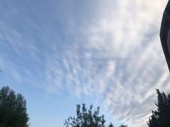 [알오물 취향주의] 우성알파 재벌3세 김태형 X 집안 대대로 무속인 오메가박지민 + 2