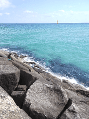 뜰팁 팬창작 소설