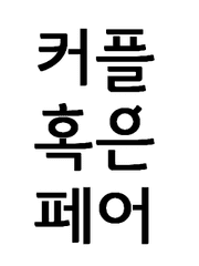 커플 혹은 페어