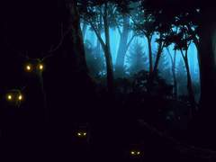 #1-1 어느 옛이야기