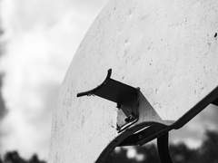 바닥으로 내려앉은