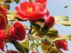 100번째 시선의 끝에