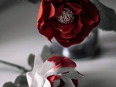 그 날은 운수 좋은 날이었다.