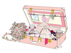 엔틱 트렁크 미믹캣