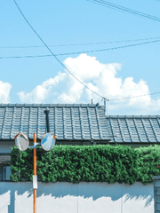 파란지붕 하숙집