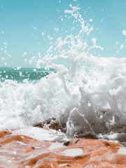 고1도 사랑을 한다고요