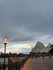 나는 오늘 시를 한송이 꺾었다.