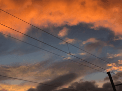 [화이류] persona.2