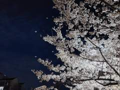 잠이 오지 않아서