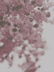 [나루토] 아빠 지킴이