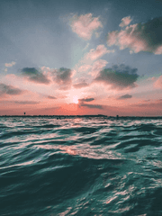 단향님께 바치는 로그