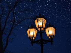 악동 보고서 후기