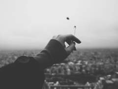 디스토피아 사랑스러운 역유토피아