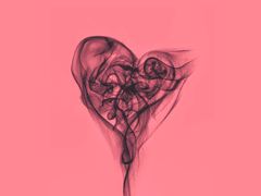 향이 스민다, 막이 오른다