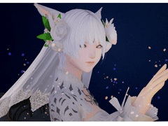 죄식자화 드림타로