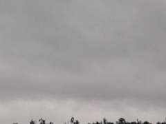 우린긴춤을추고있어