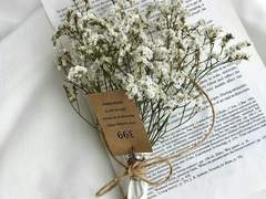 𝑴𝒊𝒅𝒏𝒊𝒈𝒉𝒕 𝑪𝒂𝒏𝒅𝒚