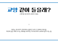 교양 같이 들을래?