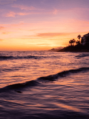 가을과 겨울 사이 (장편)